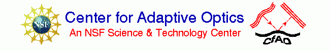 CfAO_logo.gif